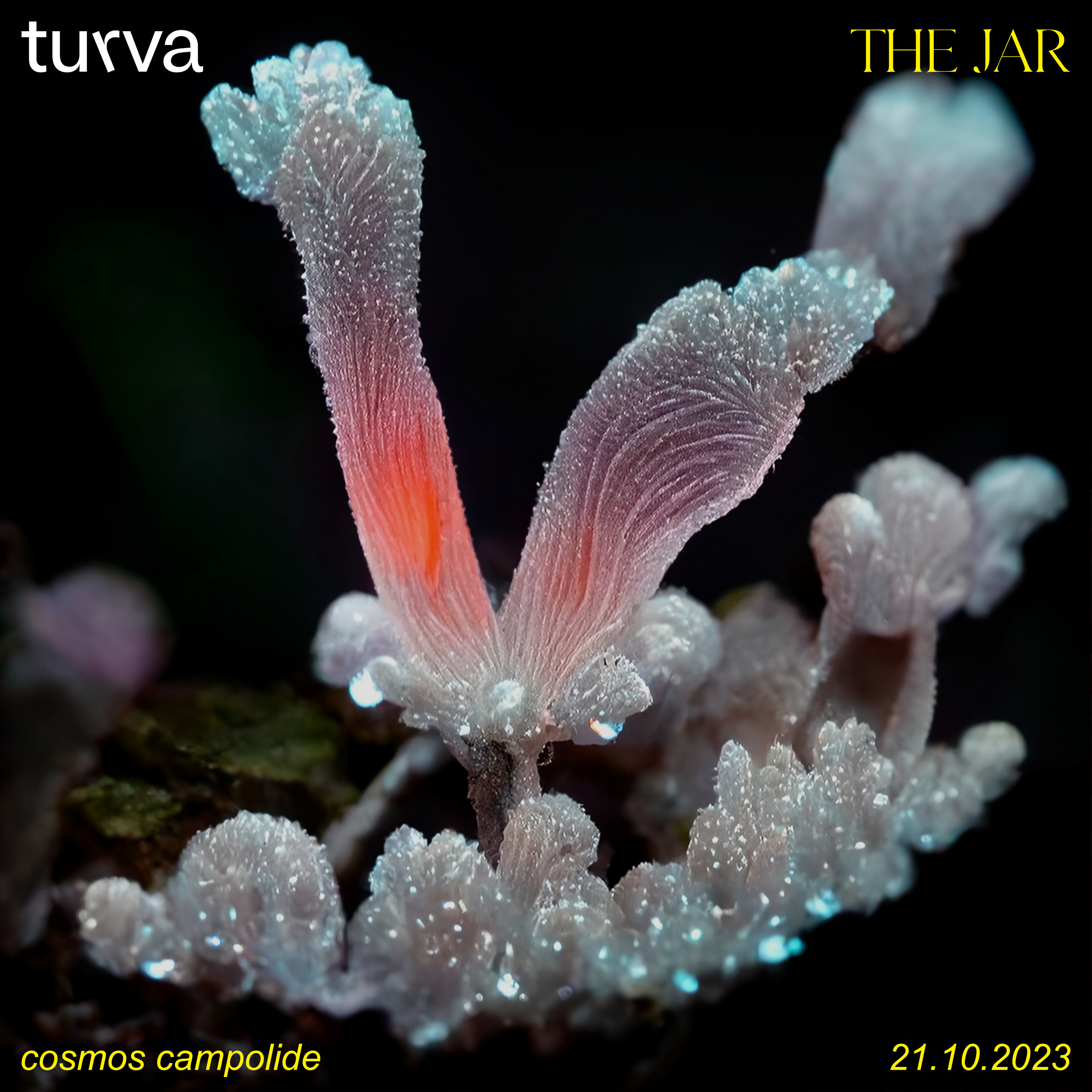 Alagoa – The Jar (live at FerroForum)